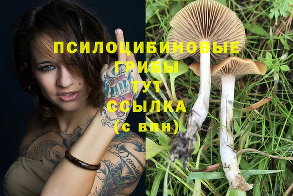 первитин Алексеевка